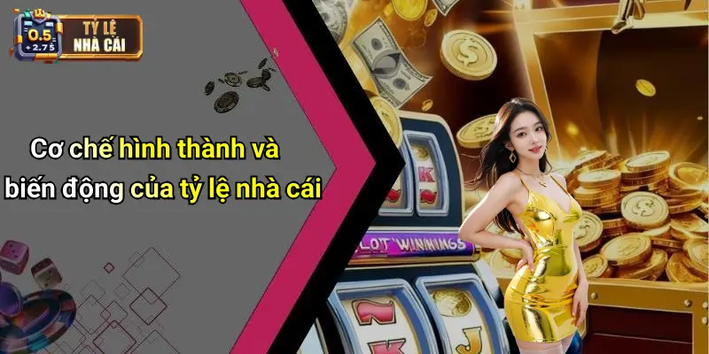 Cơ chế hình thành và biến động của tỷ lệ nhà cái
