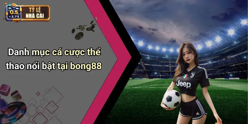 Danh mục cá cược thể thao nổi bật tại bong88