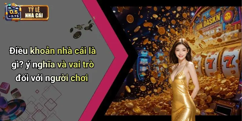 Điều khoản nhà cái là gì? ý nghĩa và vai trò đối với người chơi