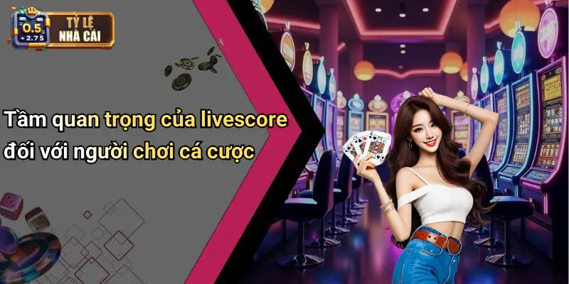 Tầm quan trọng của livescore đối với người chơi cá cược