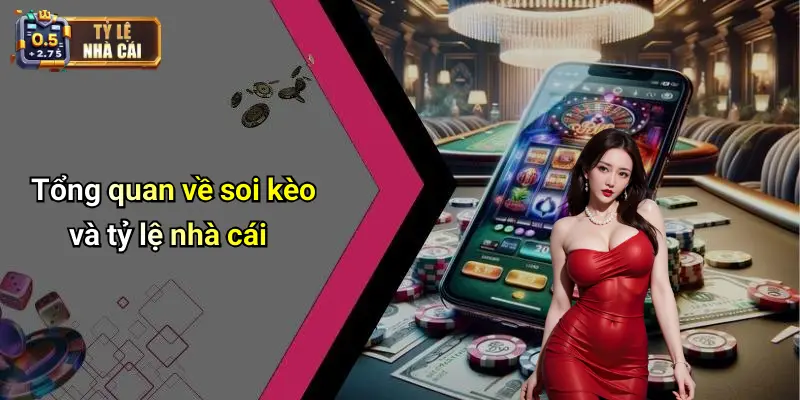 Tổng quan về soi kèo và tỷ lệ nhà cái