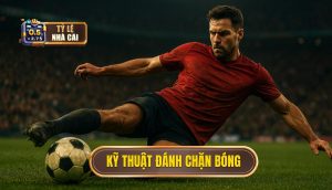 Kỹ thuật đánh chặn bóng