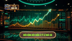 Biến Động Kèo Châu Á: Cẩm Nang Toàn Tập Để Trở Thành Cao Thủ Soi Kèo