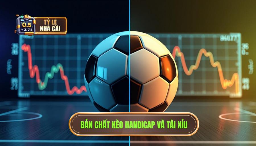 Hiểu rõ bản chất của kèo Handicap và kèo Tài Xỉu