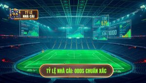 Cập nhật Odds bóng đá mỗi ngày - Soi kèo chuẩn tại Tỷ Lệ Nhà Cái